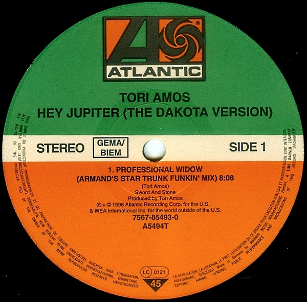 TORI AMOS - PROFESSIONAL WIDOW