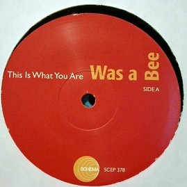 WAS A BEE - THIS IS WHAT YOU ARE/ON A CLEAR DAY