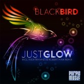 BLACKBIRD - JUST GLOW