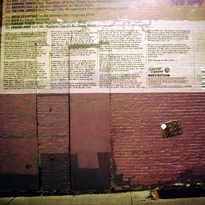 STRICTLEY TODD TERRY - VARIOUS ARTIST LP2