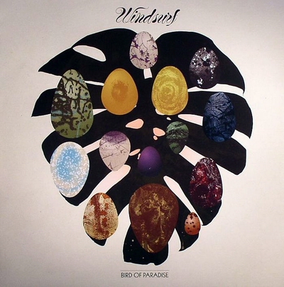 WINDSURF - BIRD OF PARADISE