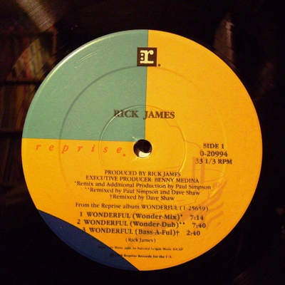 RICK JAMES - WONDERFUL