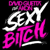 DAVID GUETTA FEAT. AKON - SEXY BITCH (CD|S)