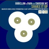 GUBELLINI VS PAIN FEAT DAROOK MC - SHAKE IT UP (CD|S)
