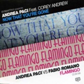 ANDREA PACI FEAT. COREY ANDREW - NOW THAT YOU|RE GONE (CD|S)