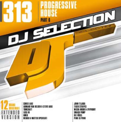 DJ SELECTION 313 - PROGRESSIVE HOUSE PART 6 (CD|S)