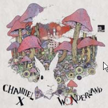 CHANNEL X - WONDERLAND (CD)