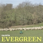 CALCUTTA - EVERGREEN (CD)