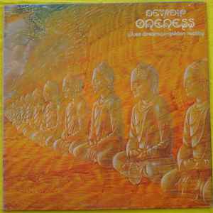 DEVADIP - ONENESS (SILVER DREAMS-GOLDEN REALITY) (LP)