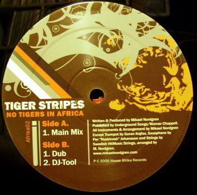 TIGER STRIPES - NO TIGER IN AFRIKA